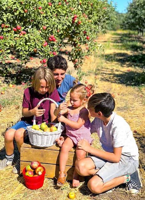Kids picking apples in an orchard